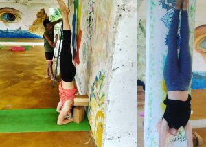 Yoga Classes